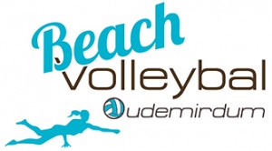 Stichting Beachvolleybal Oudemirdum